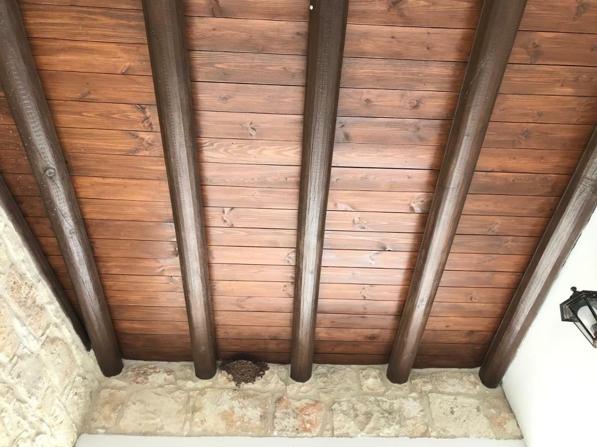 C-Elena Suite Terra Ngoại thất bức ảnh